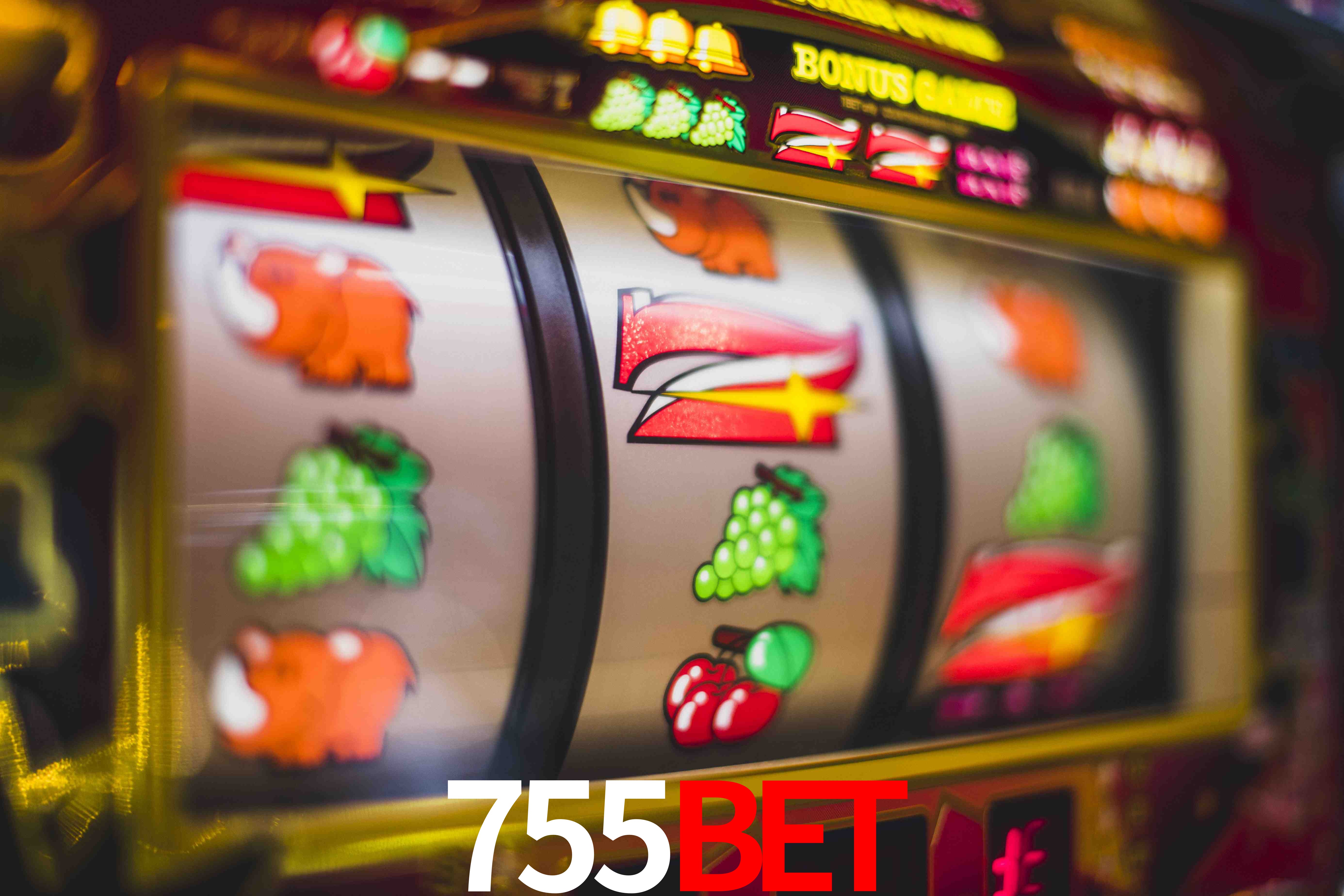 Sports Statistics 755BET